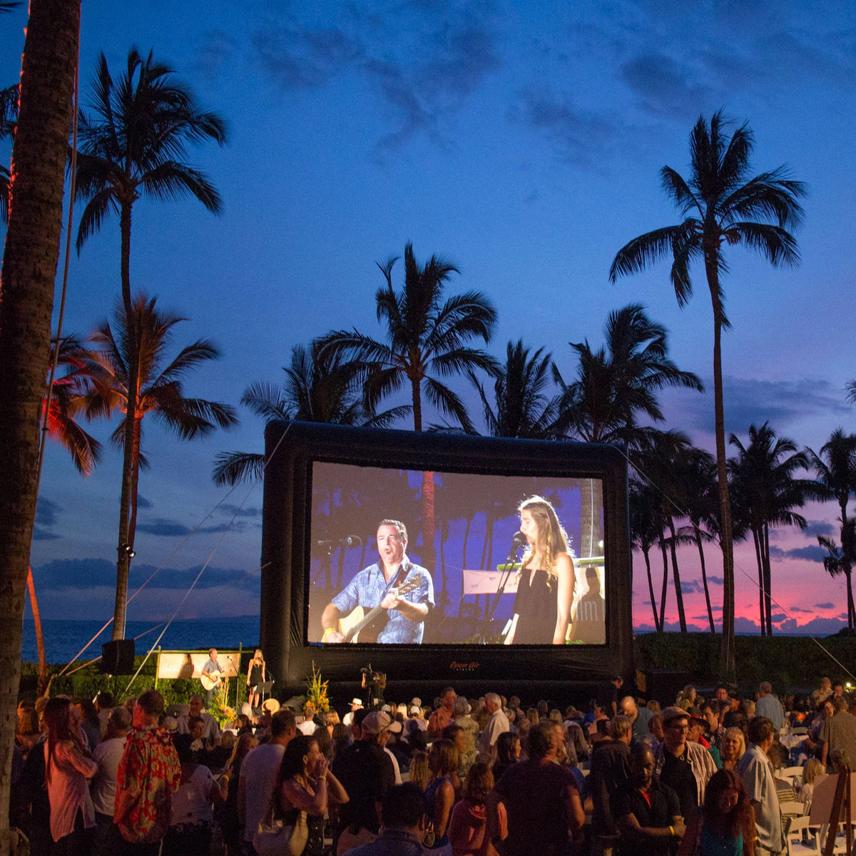 Elite Outdoor Movie Screen Kit 30&#39;
