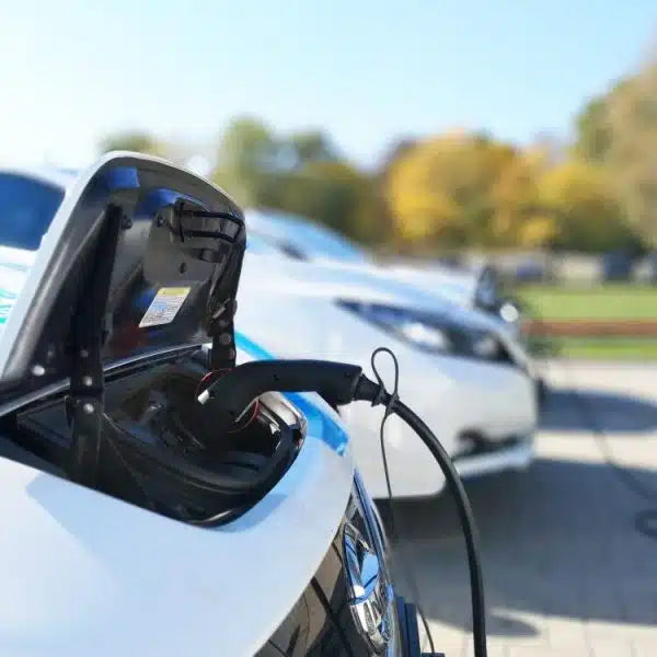 Electric Vehicle Management Controller (EVMC)
