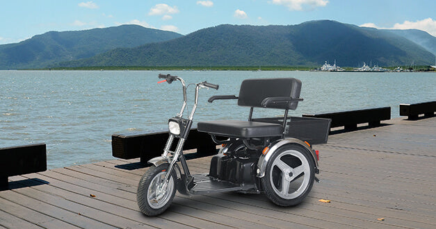 Afikim Electric Vehicles AFISCOOTER SE