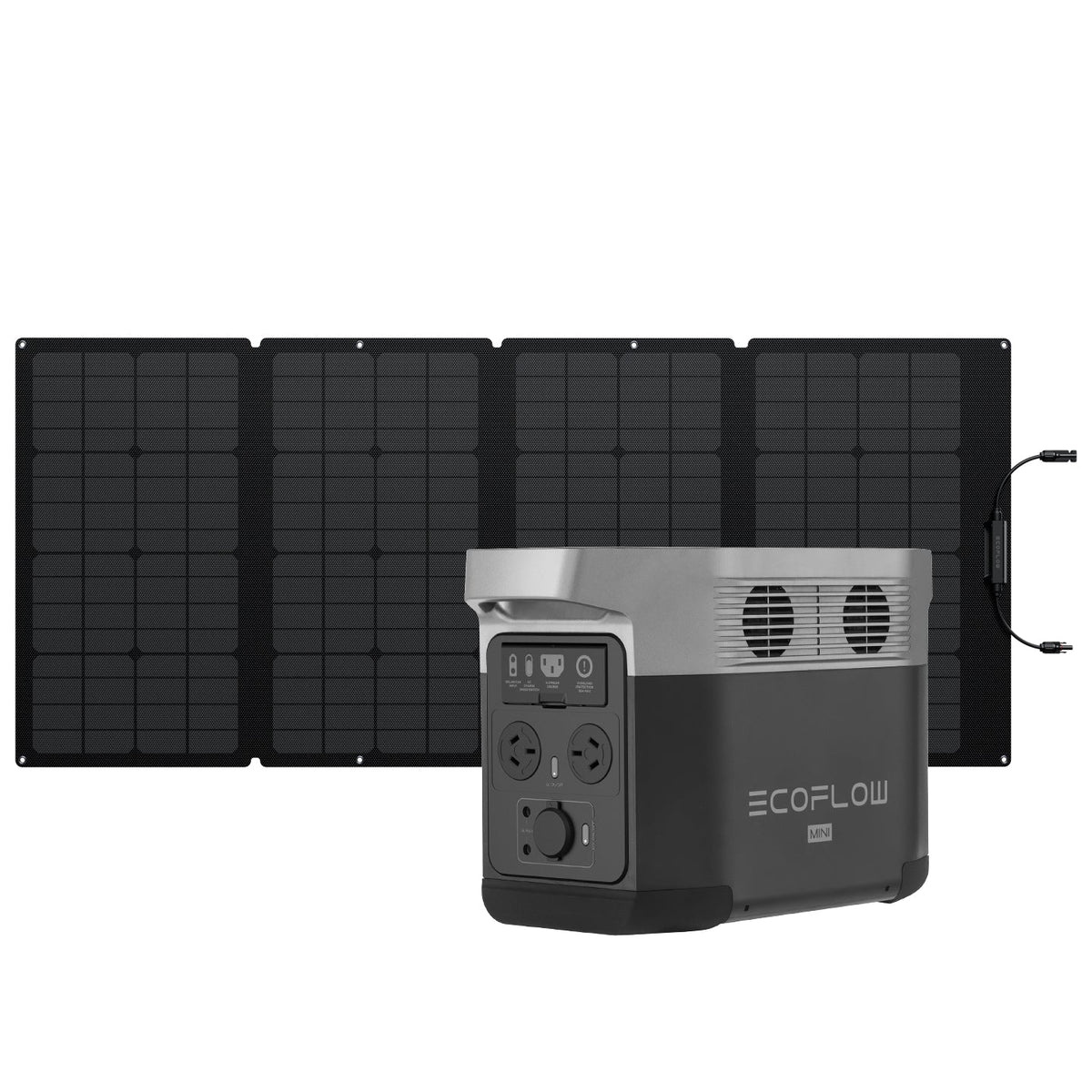 EcoFlow DELTA mini + 160W Portable Solar Panel
