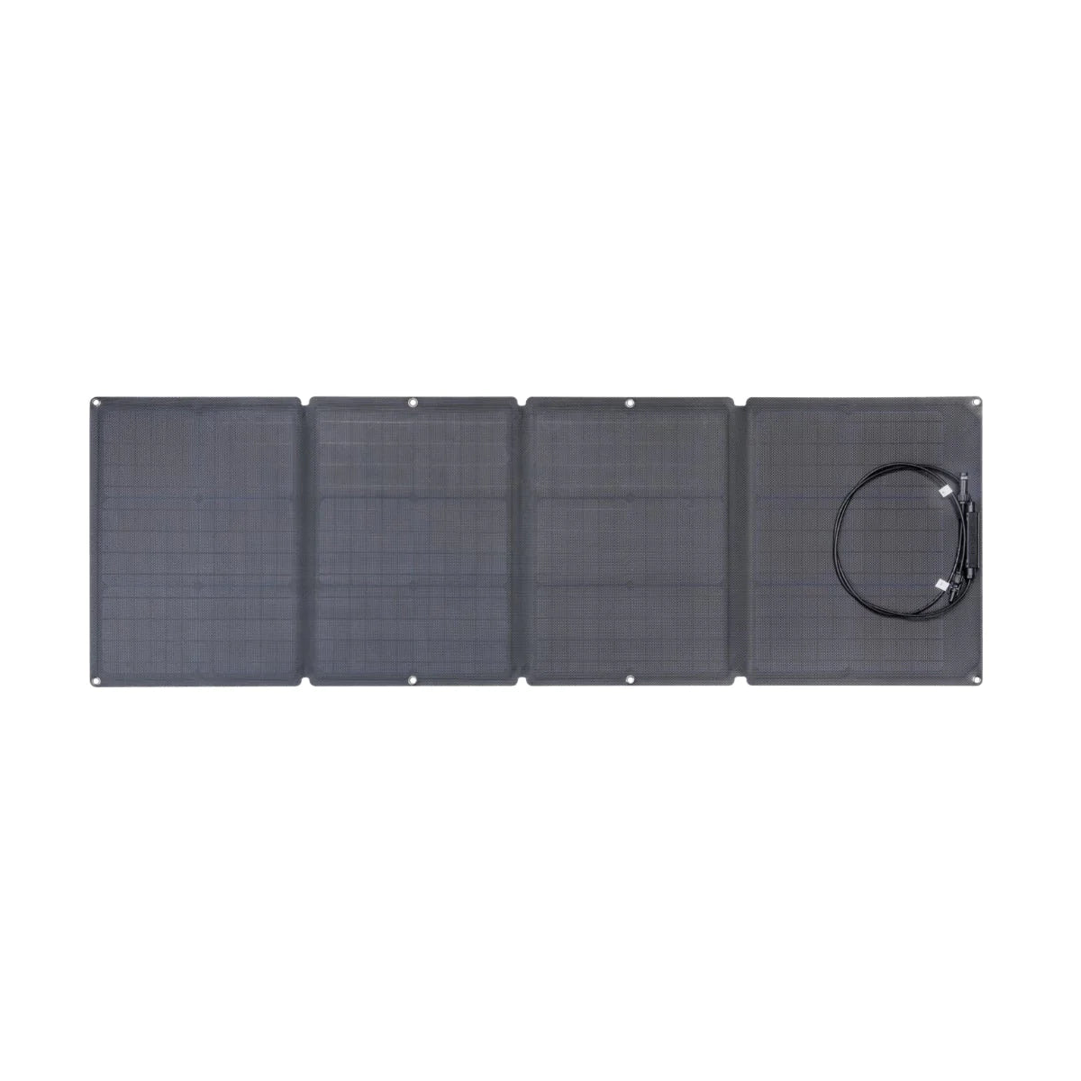 EcoFlow DELTA Max 2000 + 110W Solar Panel