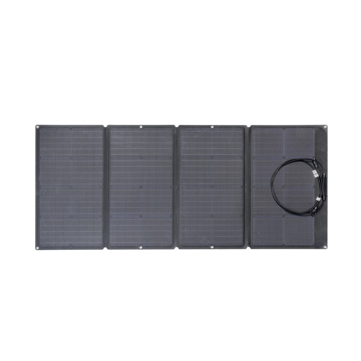EcoFlow DELTA Max 2000 + 160W Solar Panel